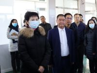 中国对外贸易理事会副理事长胡金高助力林甸县打赢脱贫攻坚战