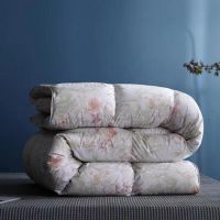 羽绒被、电热毯销量猛增 京东居家双12网友争抢御寒神器