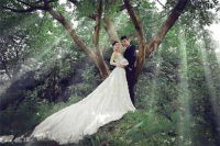 有多少人结婚没有拍婚纱照 拍森系婚纱照好吗