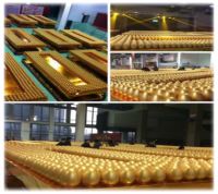 彝族歌神海来阿木、甜美歌手戊道子12.20与你相约泰和