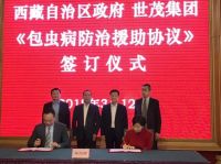 从脱贫攻坚到乡村振兴|世茂服务荣获“消费扶贫先锋力量”荣誉