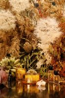 野兽派发布金色眼泪香氛系列新品——暖意拥抱，心动来袭