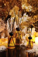 野兽派发布金色眼泪香氛系列新品——暖意拥抱，心动来袭