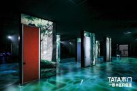 倔强专注木门的TATA 释放着哪些信号？