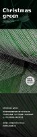 【YASLAN】圣诞节：送你一抹特别的圣诞绿