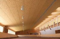 澳思柏恩OSB板——站在巨人的肩膀上