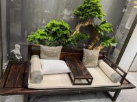 天禧红木大方品牌济宁店隆重开业 拓展品牌新布局