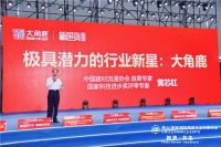 新锐品牌大角鹿斩获天猫平台“双12”瓷砖类目第一名！