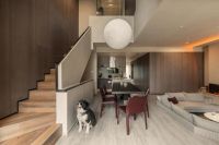 Hi-Designer丨张肖：打破空间固有模式，构建更舒适、自然的家