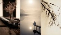 一场东方雅集，一赏「素墨 」风骨