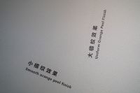 “理想家,宣伟筑”宣伟涂料昆山专卖店盛大开业