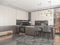 奥田电器以诚挚匠心设计“国人厨房”