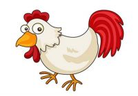 夫妻都属鸡婚姻能长久吗 鸡和鸡配对有哪些优缺点