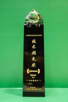 地尔肠道健康出席年度卫浴盛典，再添“2020技术领先奖”荣誉！