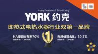 逆势而上，合作共赢|约克2020年度记忆