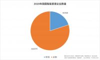 【重磅】智家头条2020年度盘点：智能家居行业大数据报告