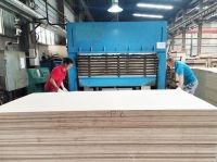 华府板材：翻过2020，不急不躁地成长，不慌不忙地坚强