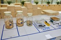 曲美原木结构板—— 一场新材料革命