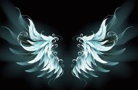 新浪精选：雅诗澜——《国潮》