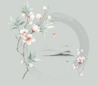 新浪精选：雅诗澜——《国潮》