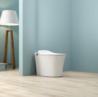 爱上智能马桶，只有0次和无数次