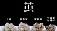 蚕丝被是如何制作的?全手工蚕丝被的制作过程详解