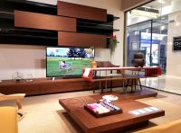 文纯--上海红星欧丽洛雅环球家居博览中心店开业