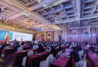 伫立十周年新起点，板川以“电燃”黑科技破局求增长