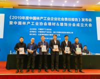 行业聚焦 | 佰世达出席2019年度林产工业企业社会责任报告发布会
