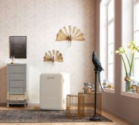 拒绝当花瓶！要颜值与技术并存的HCK哈士奇复古冰箱！