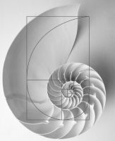 锐驰 | Puzzle拼图椅：至简几何，无穷意蕴