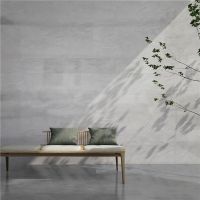 箭牌瓷砖月光岩，即享高品居家生活