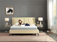 新品评测|让睡眠更轻松，泰普尔乐享生活系列解锁零压睡眠