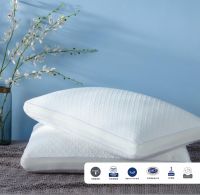 新品评测|舒享好眠，泰普尔三大枕头让你舒芯、舒适、舒梦