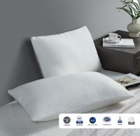 新品评测|舒享好眠，泰普尔三大枕头让你舒芯、舒适、舒梦