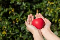 响应原地过年，东易日盛超放心守候每一个家