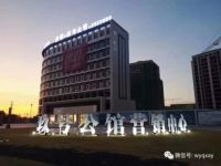 烂尾项目蝶变为“网红楼盘”，多弗玖号公馆只用了不到300天