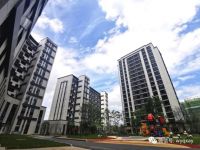 烂尾项目蝶变为“网红楼盘”，多弗玖号公馆只用了不到300天