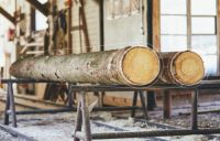 还在“谈醛色变”？澳思柏恩净醛板材是怎么做到0醛的？从根源隔绝甲醛