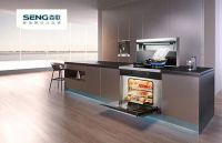 2020森歌集成灶逆势增长33.3%，领跑行业大盘，创持续增长的奇迹！