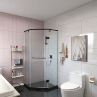 德立淋浴房SA2装修实例，外修颜值，内敛气质