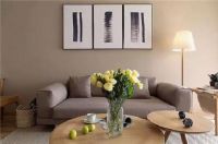 迎新年焕新貌 泰诗尔肌理壁膜让家更靓丽