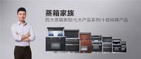集成灶加盟哪家好？金帝集成灶怎么样？