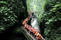 舒适猫：逆风而上的2020