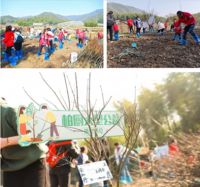 柏厨家居荣获中国公益节“2020企业社会责任行业典范奖” 公益体系行稳致远