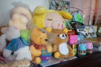 撑起留守儿童成长的蓝天 西门子家电“童伴妈妈”项目交出优异成绩单