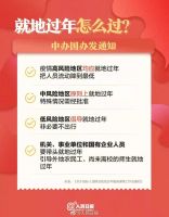 非必要不返乡 【在外劳动者】如何过好这个非同寻常的春节？