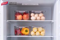 太力食品保鲜技术，“装”下对健康精致生活的向往