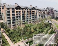 喜讯！德高再获“万科A级供应商”殊荣