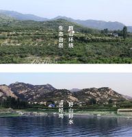 好猫粮原材选择是关键，哈乐豆林地鸡猫粮